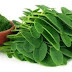 TOP 5 WAYS TO IDENTIFY POTENT MORINGA LEAF POWDER AND HOW TO MAINTAIN ITS POTENCY