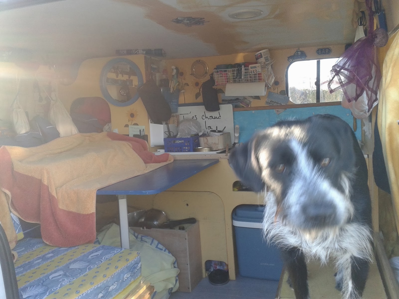 Roll Up Futon for Camper Van. Futons 247 The Futon Shop UK Blog