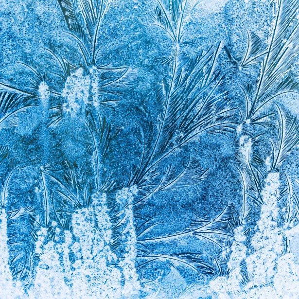 The Multicolored Diary 5+1 little known Christmas folktales (Following