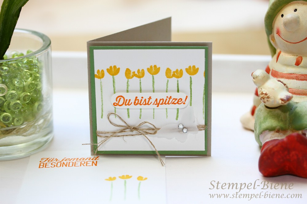 Stampin Up Painted Petals, Stampin up Sale a bration, Stampin Up Gratisartikel, Stampin Up Bestellung Geschenke, Stampin Up Sale a bration 2015