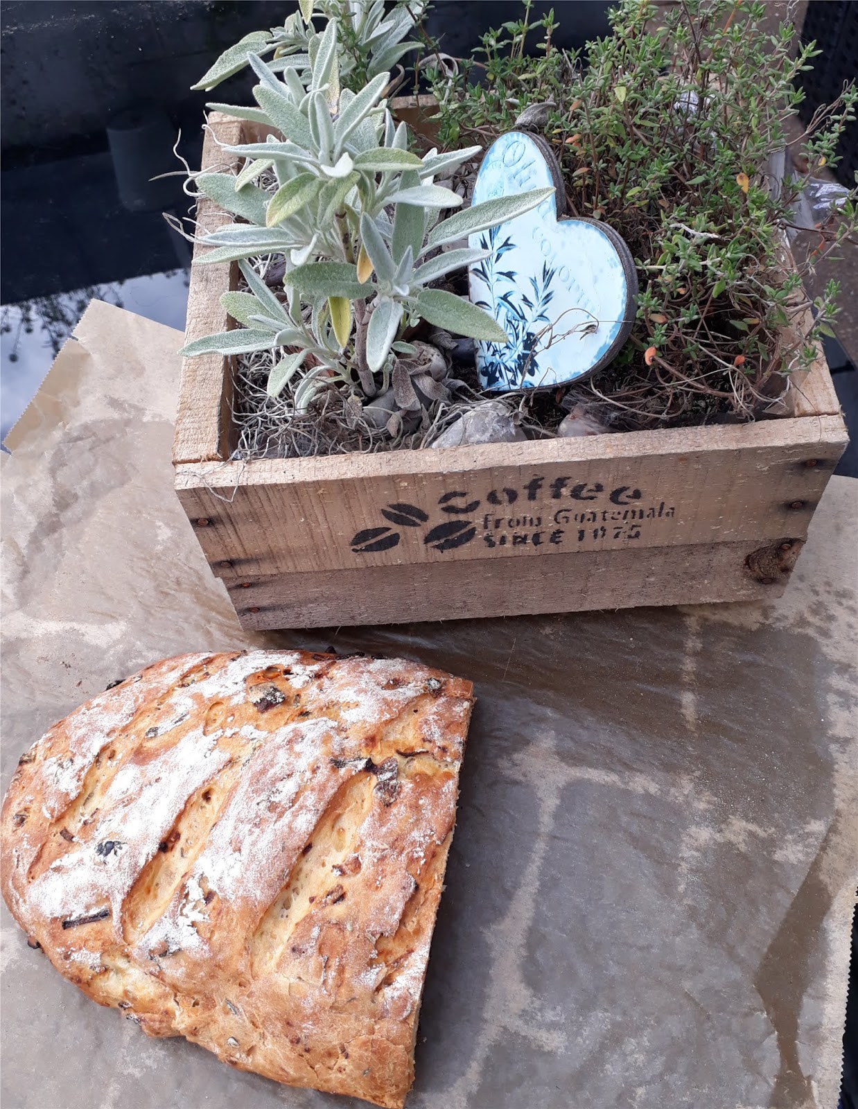 Weißbrot mit Kräutern und getrockneten Tomaten Weißbrot mit Kräutern und getrockneten Tomaten