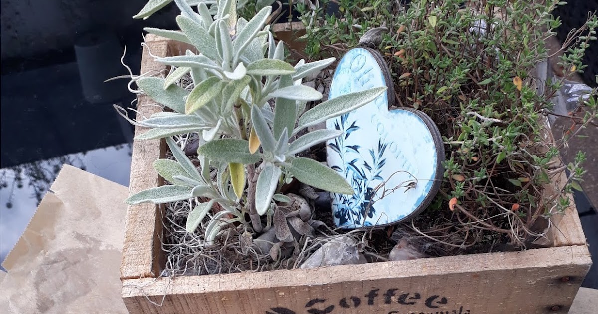 Weißbrot mit Kräutern und getrockneten Tomaten