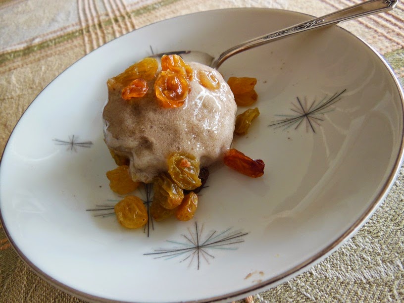 Chumkie's Kitchen Vegan 3 Ingredient Rum and Raisin Ice Cream