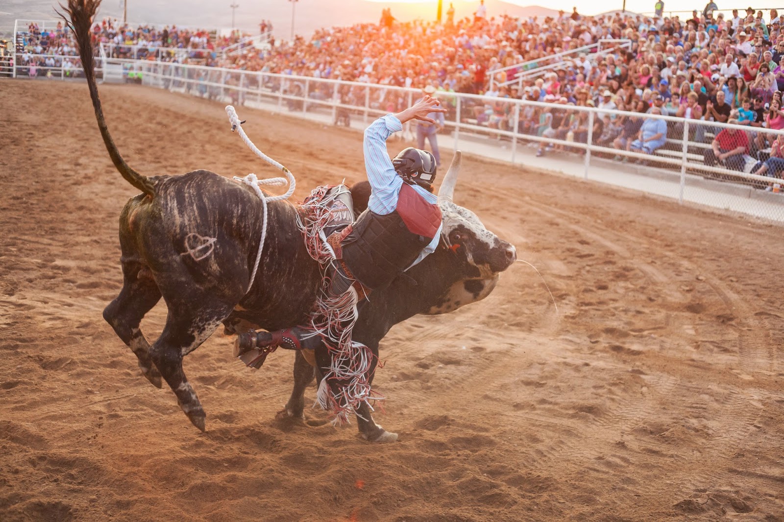 Rosemary Card Film & Photography Kamas Fiesta Days Bull Wars
