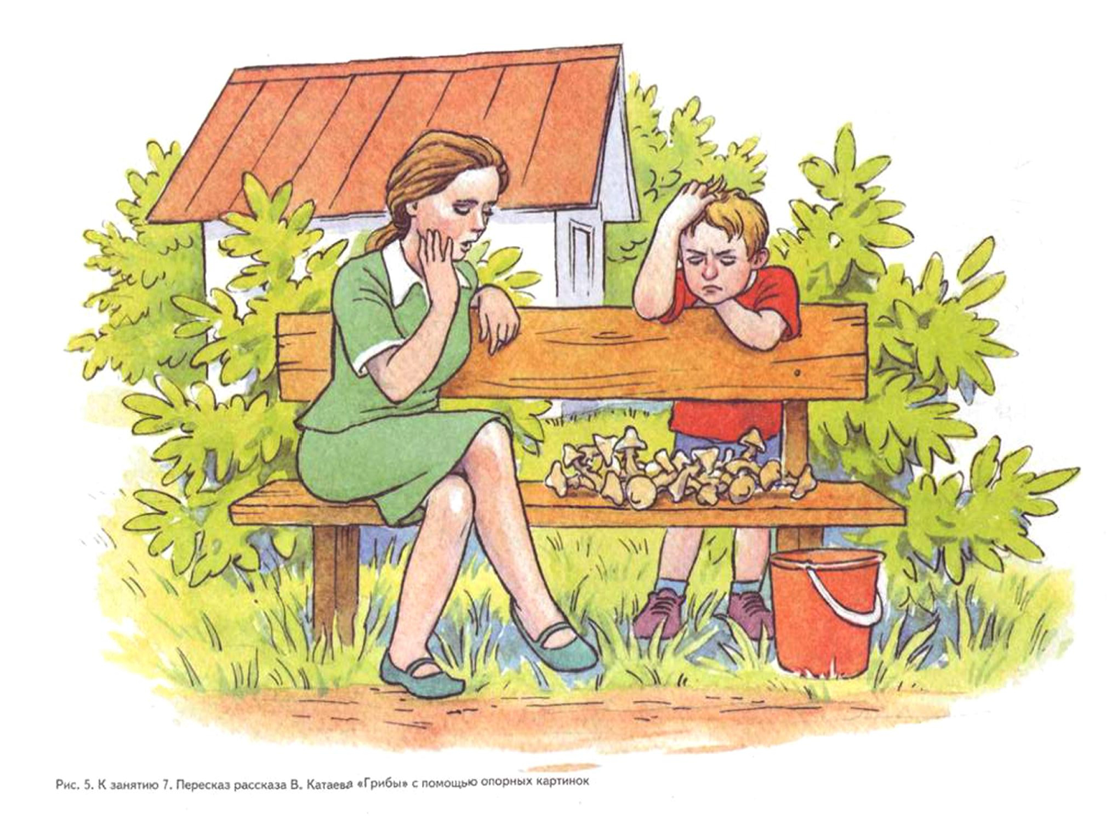 Иллюстрации к рассказу Катаева грибы