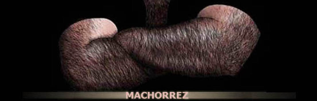 Machorrez S.A.