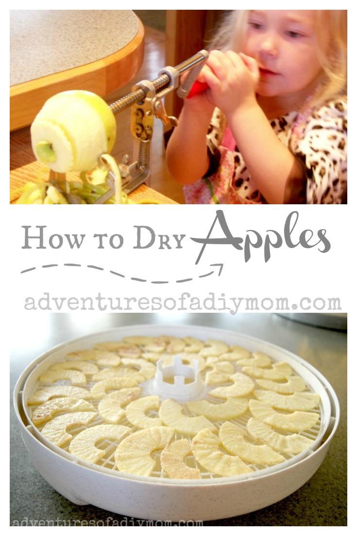 How to Dry Apples in a Dehydrator Adventures of a DIY Mom