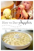How to dry apples