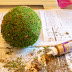Tips For Making Inexpensive Moss Balls