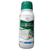 fungisida previcur-N, previcur-N, bayer indonesia