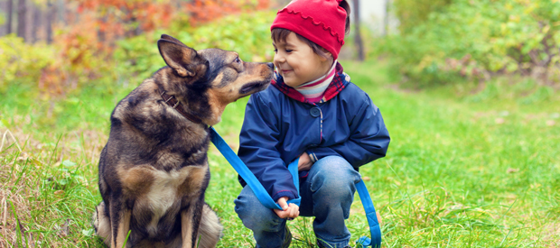 Ferienpark Tipps Lust auf Urlaub mit Ihrem Hund?