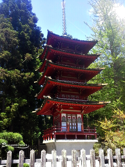 Japanese Tea Garden in Golden Gate Park, San Francisco