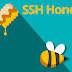 sshhipot -  High-Interaction MitM SSH Honeypot