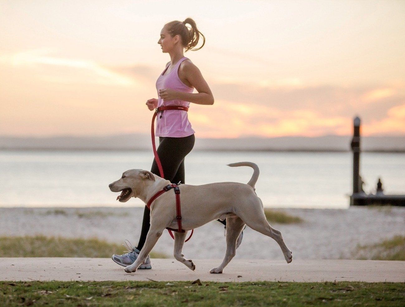 How To Turn Your Dog Into A Running Partner