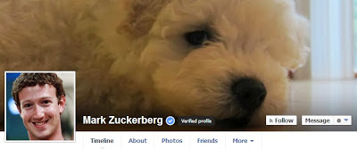 Facebook Verified badges for pages and profiles