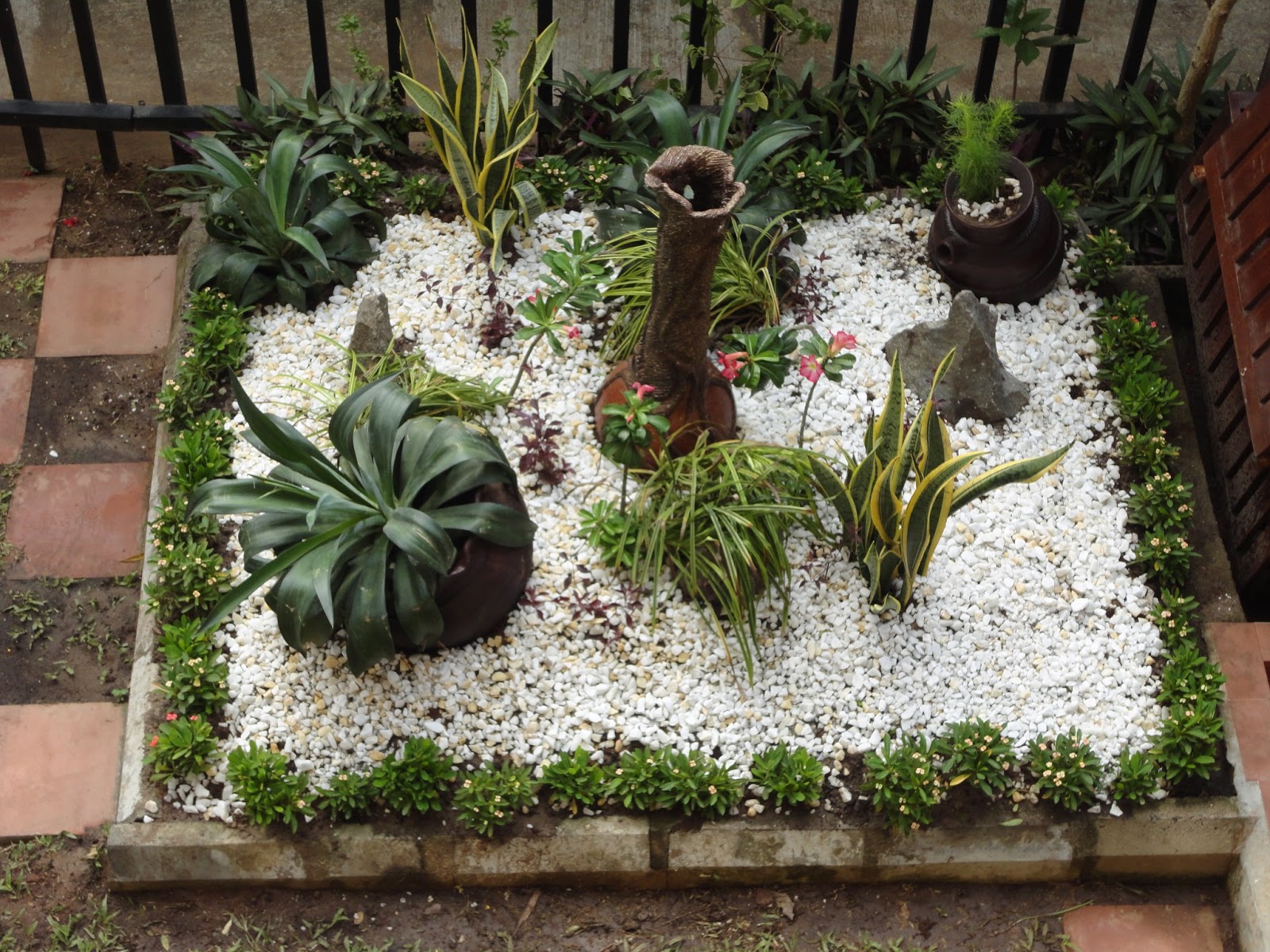 Paradise Florists Blog Rockery Plants