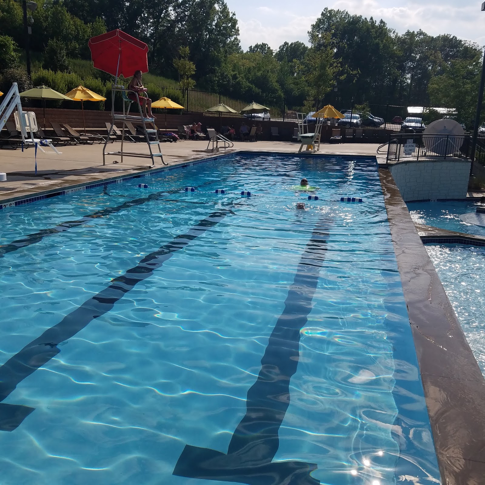 Play St. Louis Timbers of Eureka Pool, Eureka
