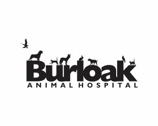 animal logo design inspiration