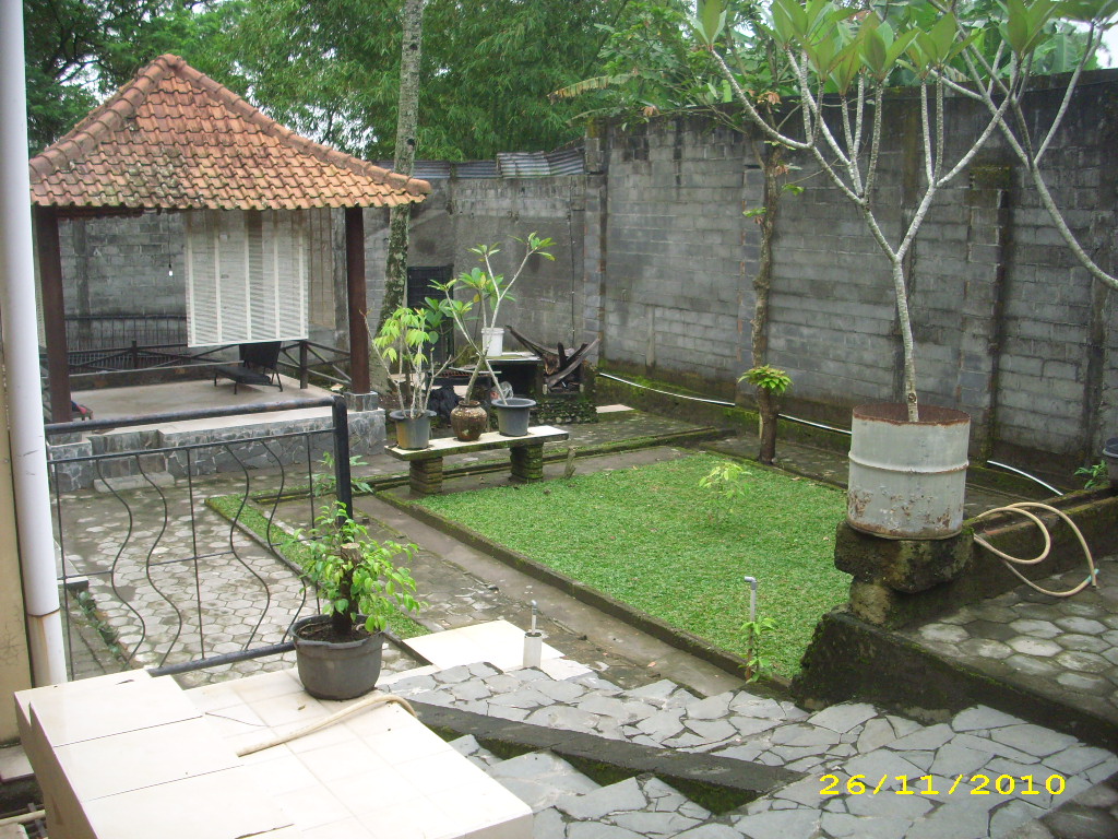 yogya nginap murah: HALAMAN YANG HIJAU DAN ASRI