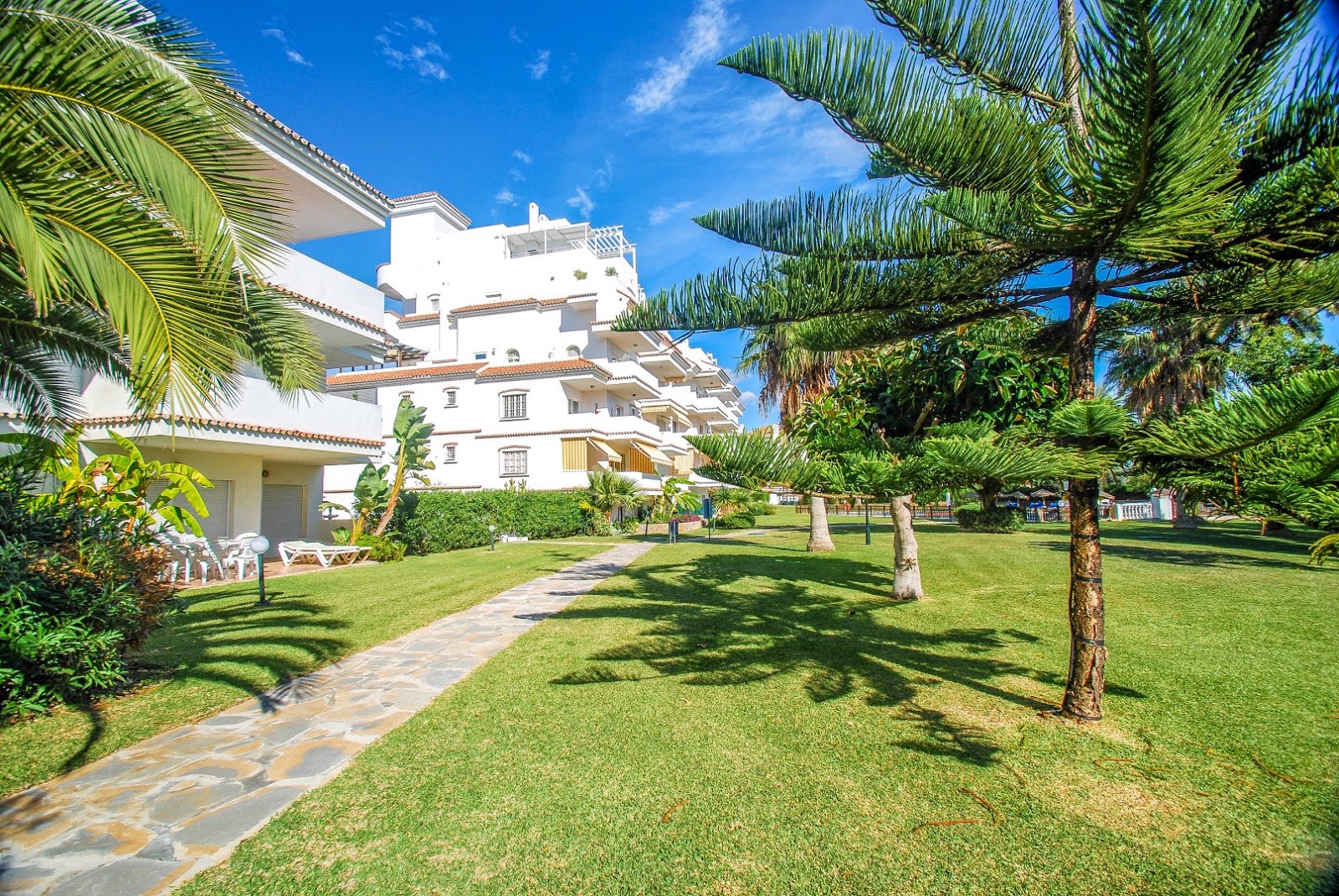 Alfonso Lacruz / Real Estate in Benahavis & Marbella / Properties in