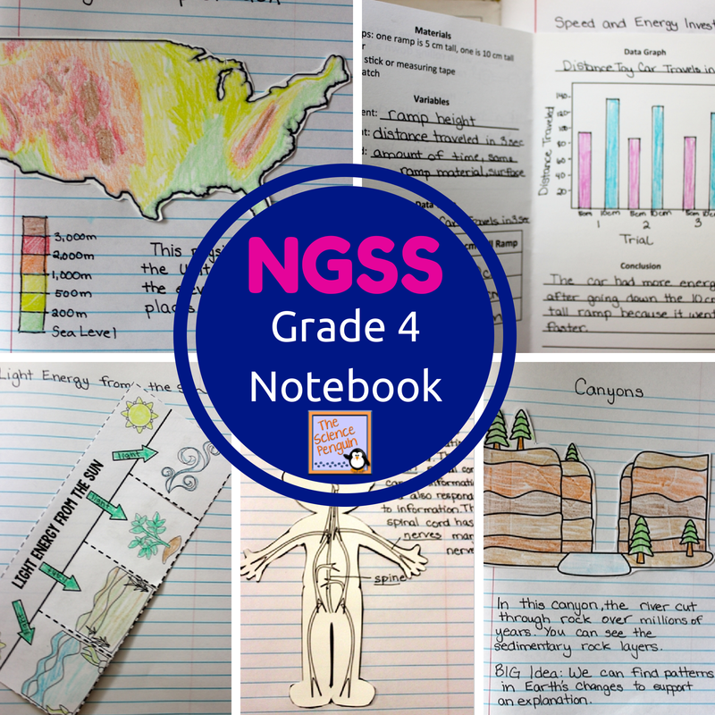 California state standards 4th grade social studies