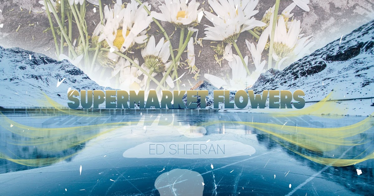 Supermarket Flowers Ed Sheeran Lyrics and Notes for Lyre, Violin