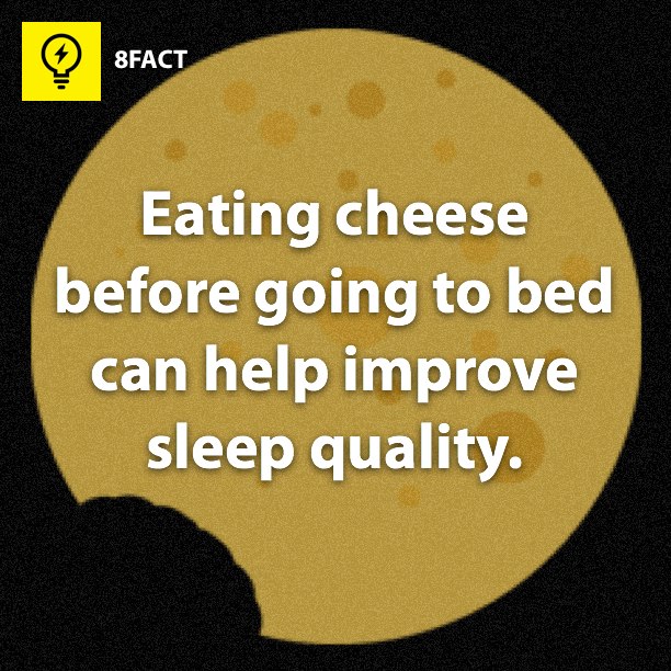 Eating cheese before going to bed can help improve sleep quality. 8FACT