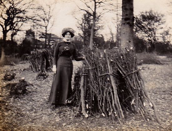 Photograph of Faggots prepared from coppiced woodland at Essendon in 1926 Image from the Peter Miller Collection