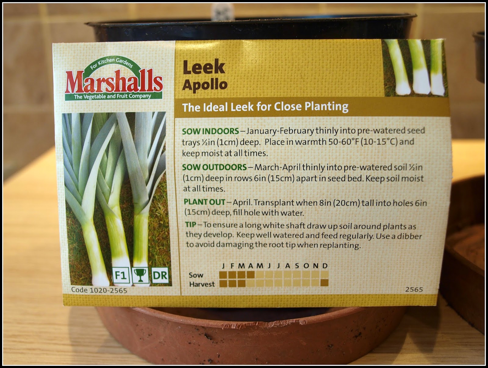 Mark's Veg Plot: Sowing Leeks