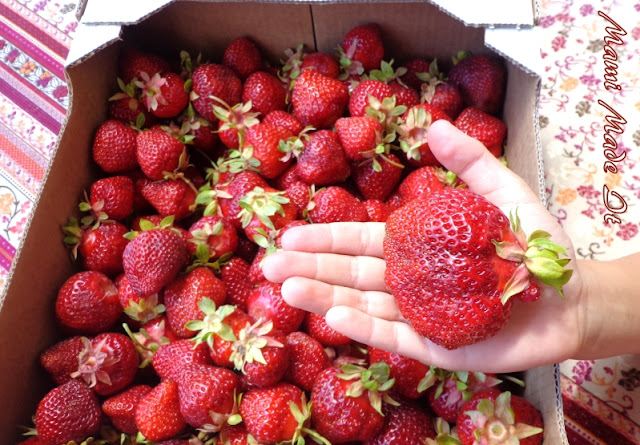 Strawberries from Wiesen