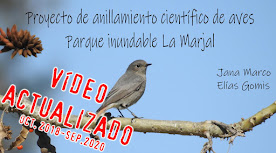 Proyecto de anillamiento científico de aves. Parque La Marjal.