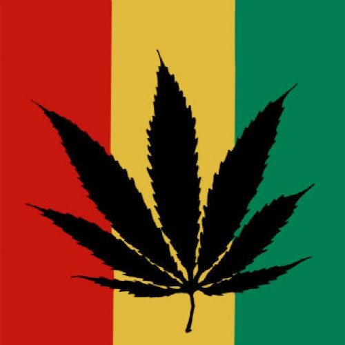 Zip 420: A Jamaican Medical Marijuana Firm