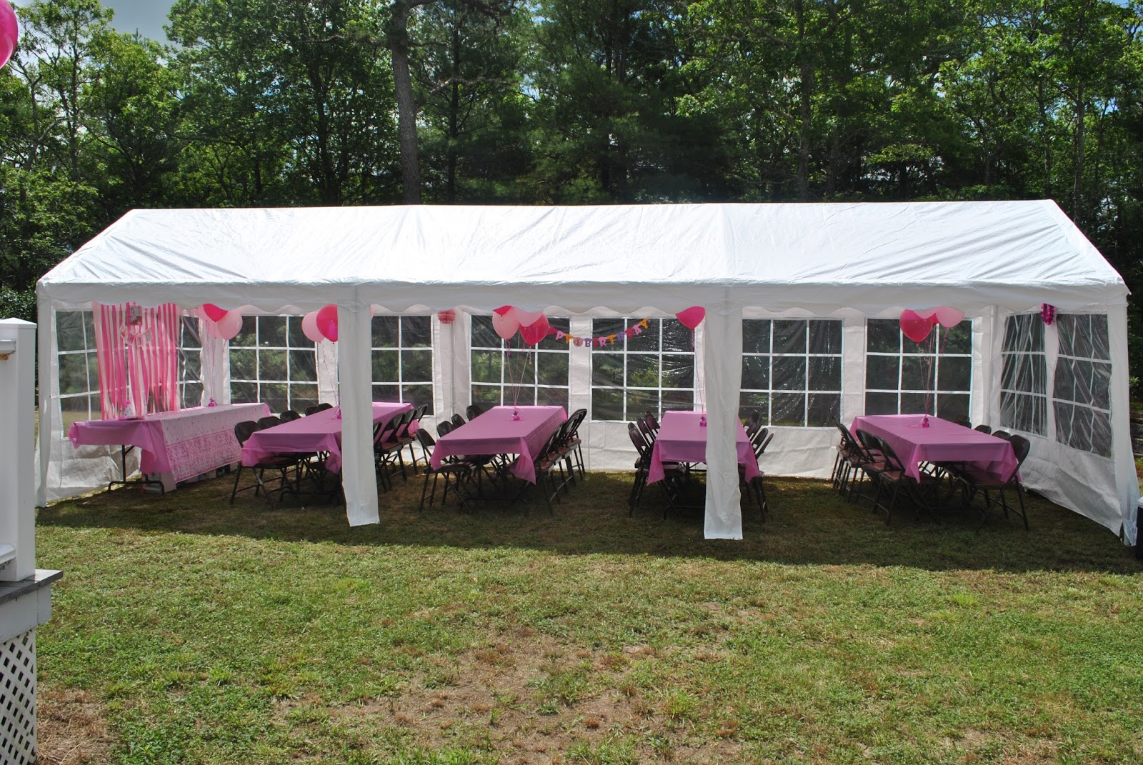 Party Canopy 10x30 & Outdoor Party For 40 Guests | Jo ...