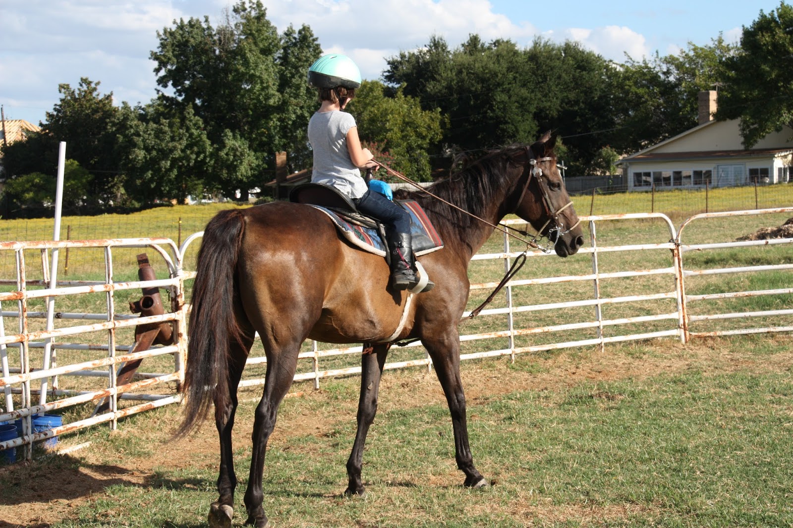 The Kaminski Chronicles Horseback Riding Lessons