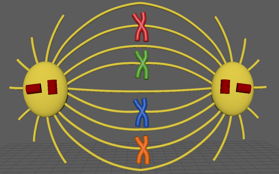Jennifer Ball Ba Hons Computer Animation Arts Rochester UCA DNA