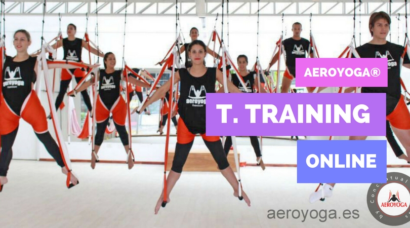Yoga Swing The 5 Most Frequently Asked Questions About The Online Aeroyoga Teachers Training Yoga Creativo