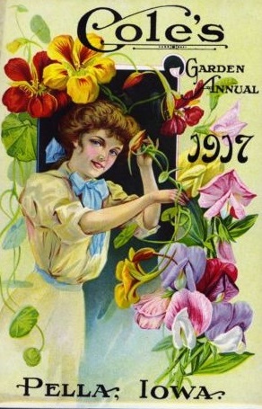 1907 seed catalog