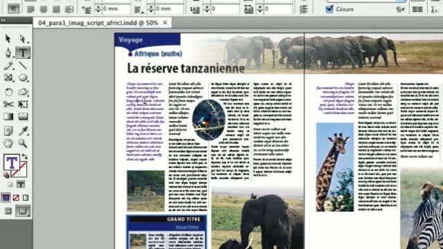 Software Adobe Indesign Software Adobe Indesign