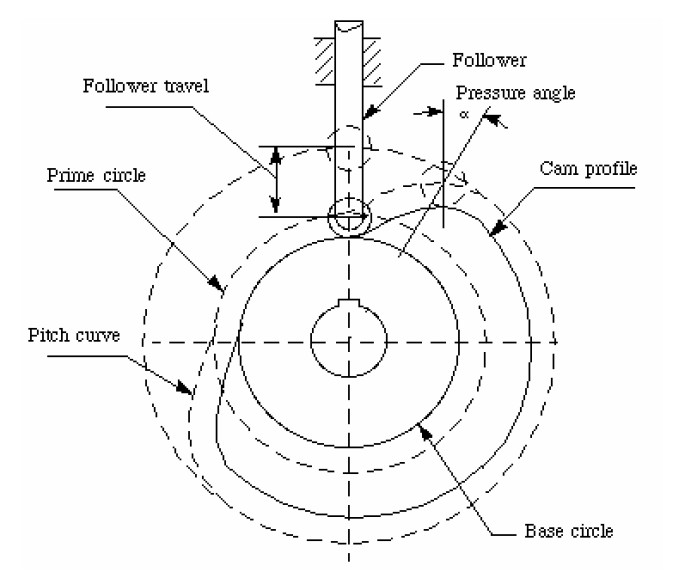CAMS Schulungsunterlagen