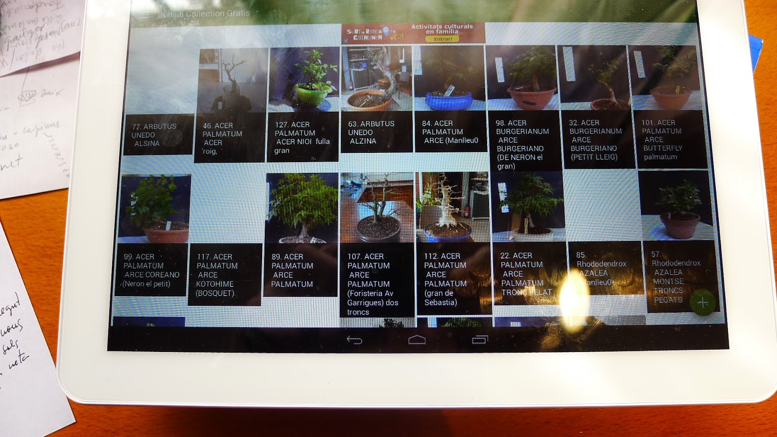 Bonsais, Suisekis y más cosas APP BONSAI COLLECTION