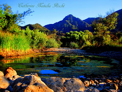 nature stunning california landscapes landscape malibu creek etsy listing