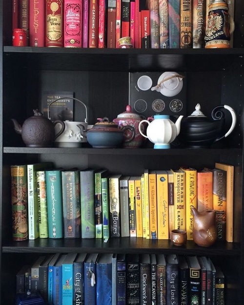 ingiliz dili ve edebiyati okumak