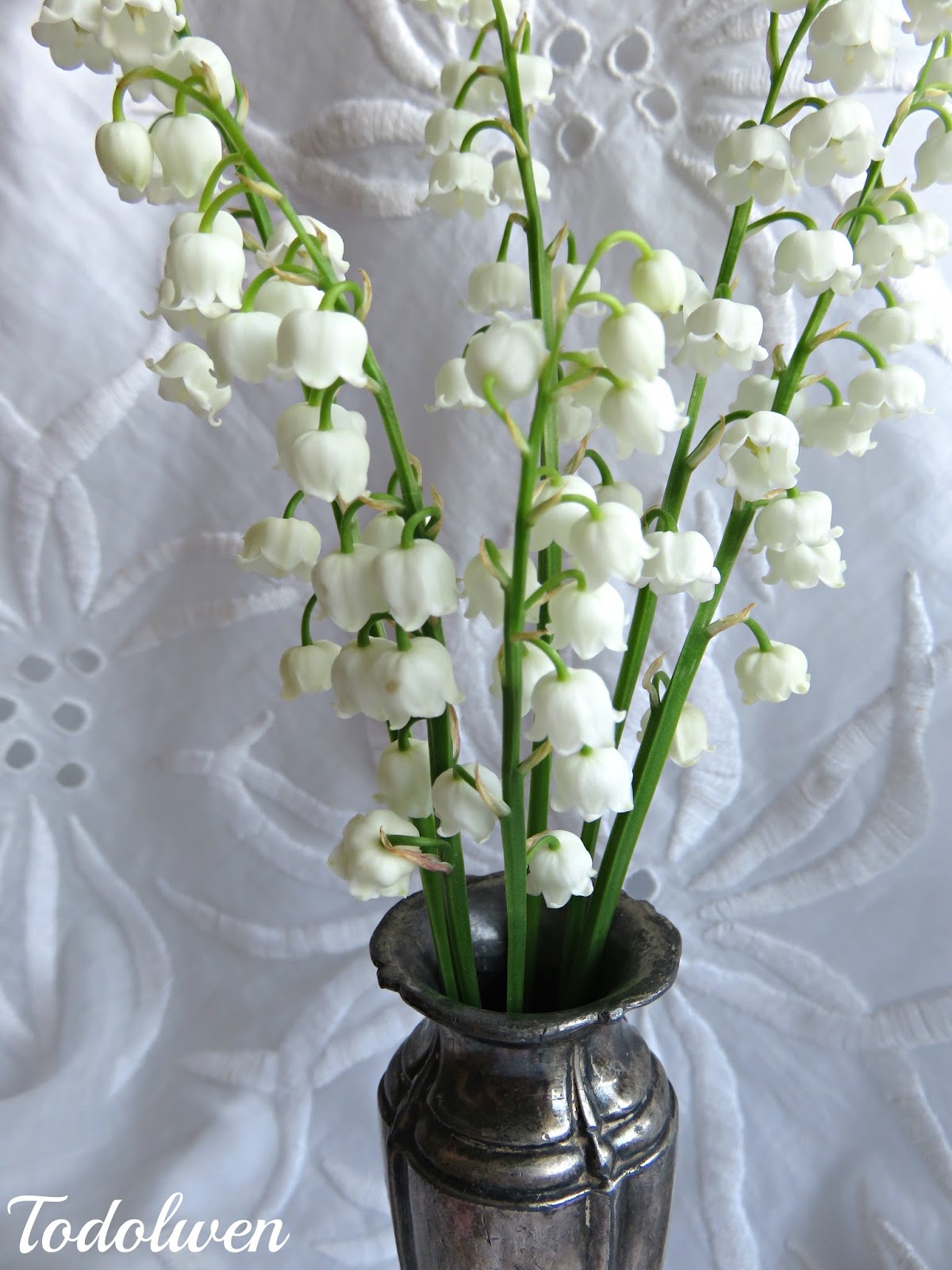 Todolwen Sweet Smelling Pretties From My Garden