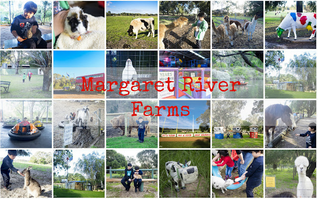 Margaret River Animal Farms : Country Life Farm vs Sunflowers Animal Farm vs Wonky Windmill