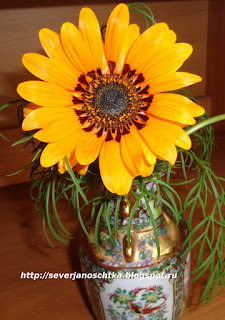 ������ �� ������ - ��������