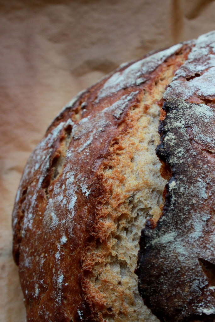 KAMAU: Roggen Dinkel Brot mit Kümmel und Koriander KAMAU: Roggen Dinkel Brot mit Kümmel und Koriander