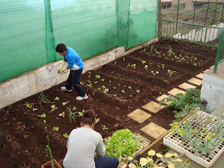 HUERTO ESCOLAR CEIP VALVERDE