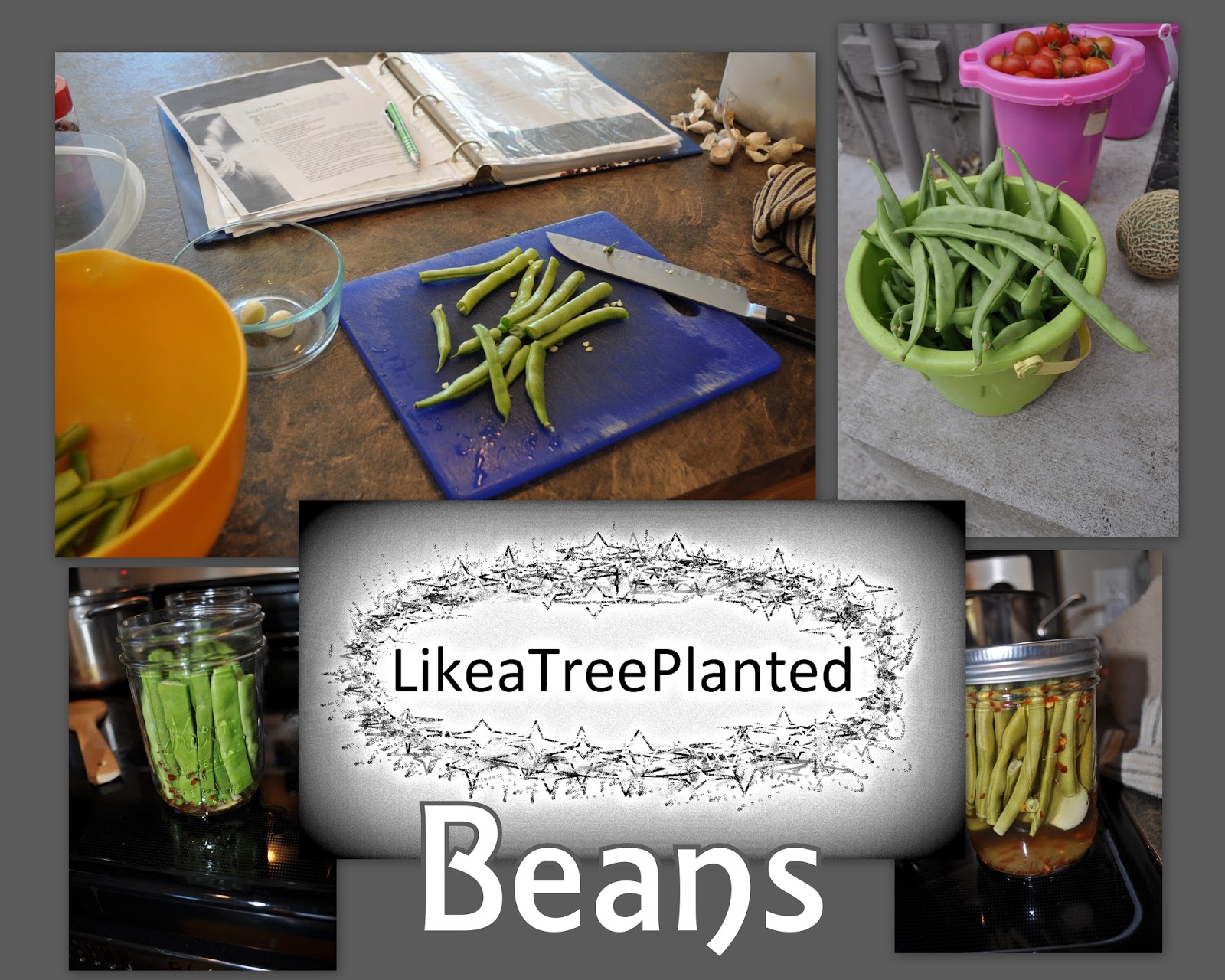 Like a Tree Planted Green Beans