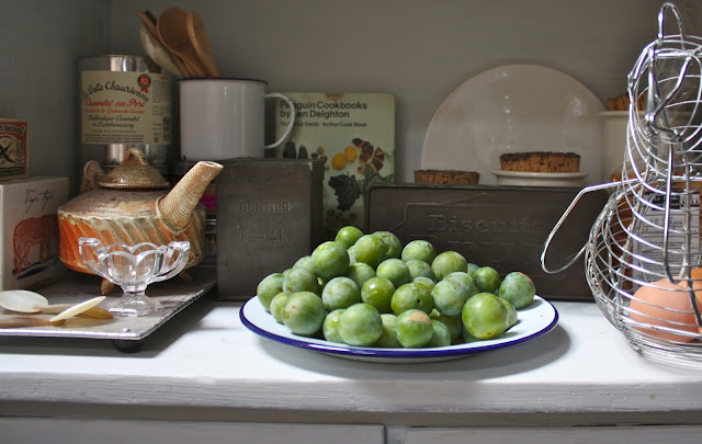 greengages in kitchen