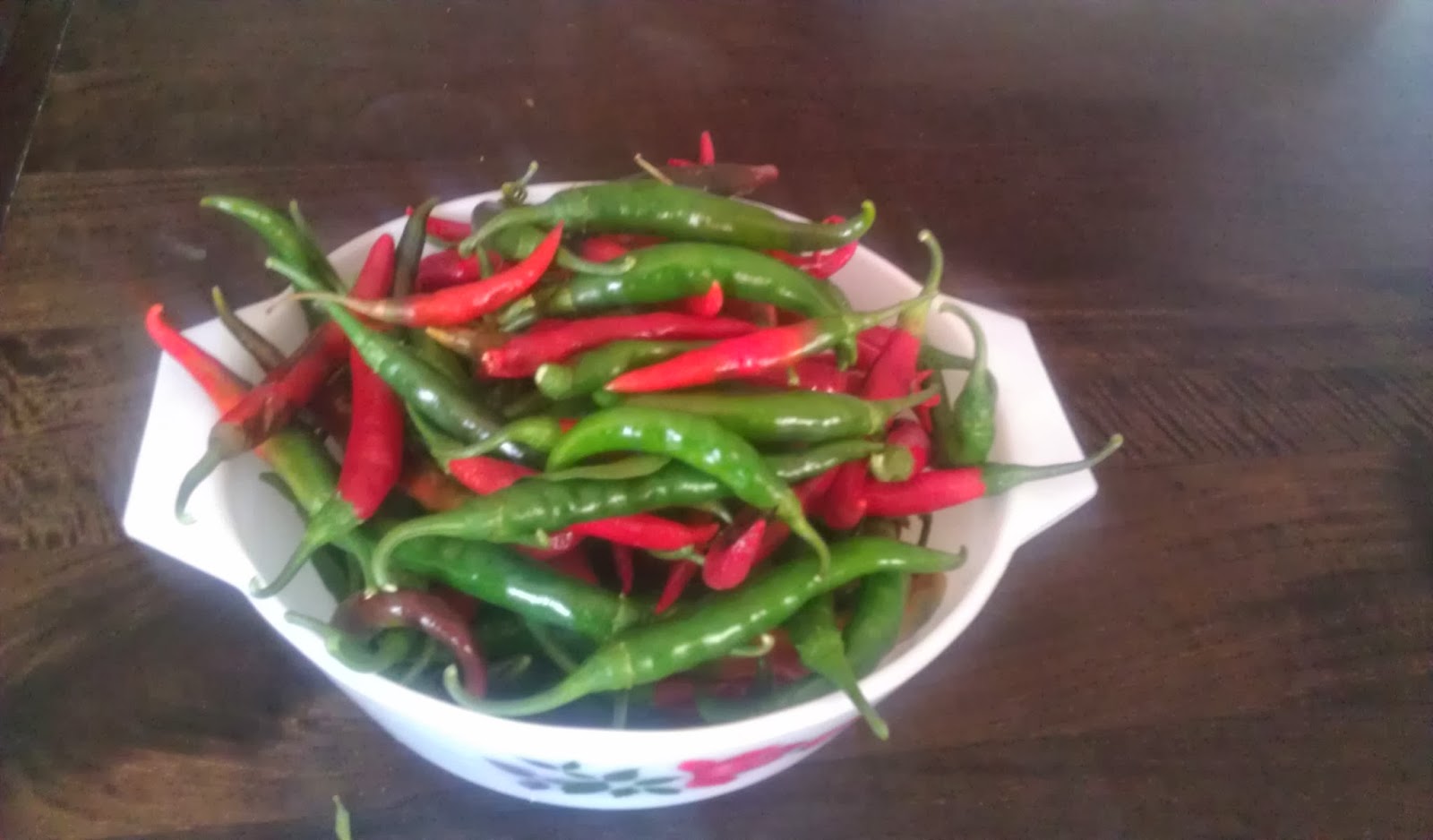 Growing Our Food Trying To Decide What To Do With My Abundant Chilli Harvest